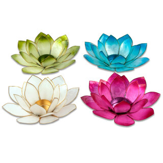 Lotus Teelichthalter extragroß verschiedene Farben