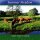 Nature Sounds: Summer Meadow (CD)
