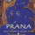 Werber, Bruce & Claudia Fried: Prana (GEMA-Frei) (CD)